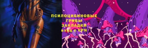 дживик Вязники