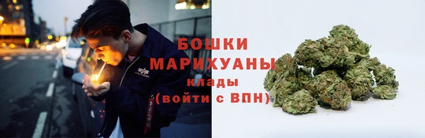 винт Вяземский