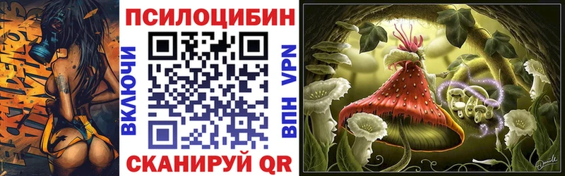 Купить  Каргат  Псилоцибиновые грибы MAGIC MUSHROOMS 