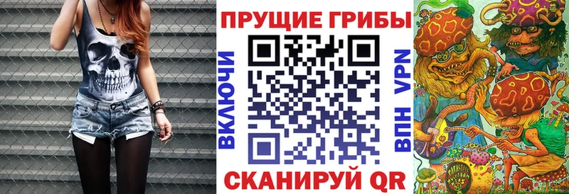 Псилоцибиновые грибы Cubensis Каргат